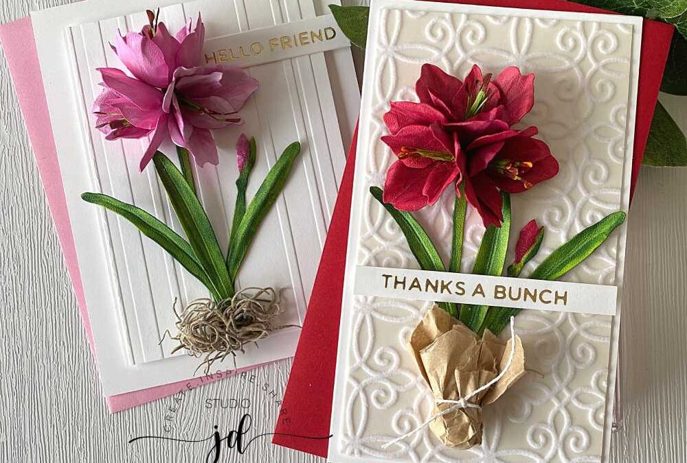 Red and Pink Amaryllis