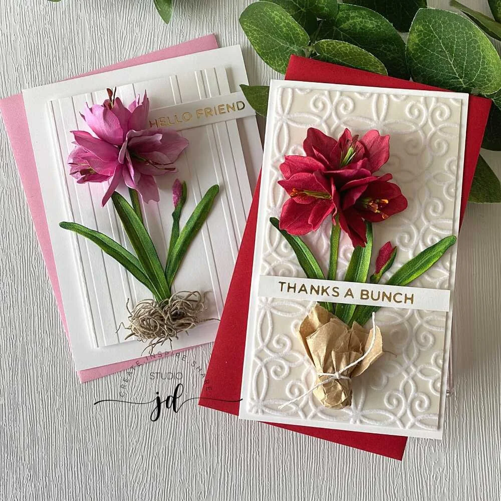 Red and Pink Amaryllis