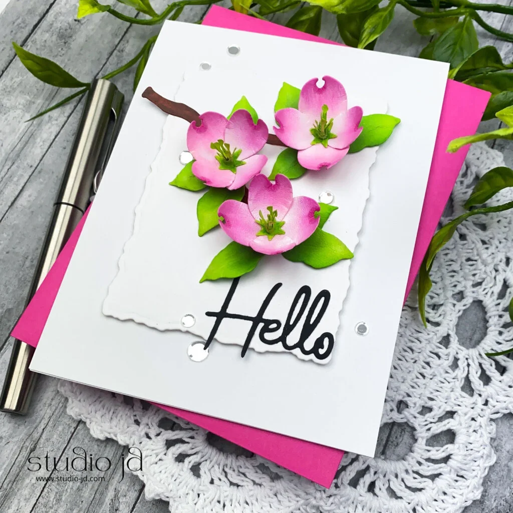 Dogwood Blossom Hello