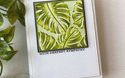 Snapshot!  Monstera Leaves Sympathy