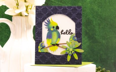 A Pop of Parrot Personality 