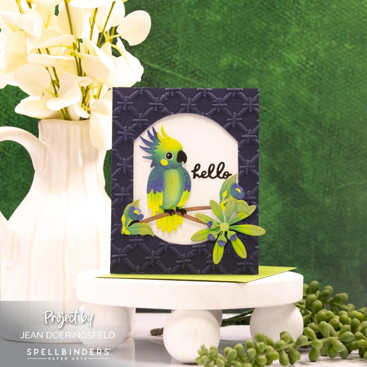 A Pop of Parrot Personality 