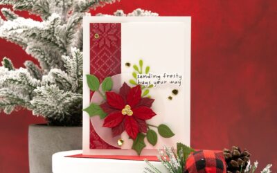 Sending Frosty Hugs & Holiday Cheer 