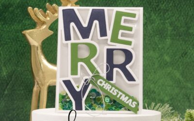 Merry and Bright (and Shaky!)