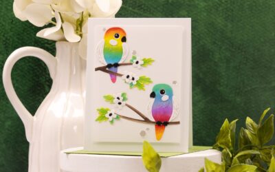 Studio Notes | Repetition Creates Cohesion